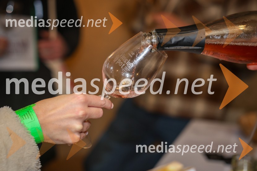 Vinska pot v rovih pod starim Kranjem 2025, sobota