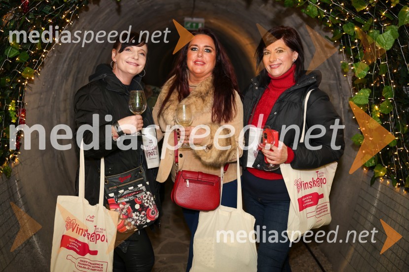 Vinska pot v rovih pod starim Kranjem 2025, sobota