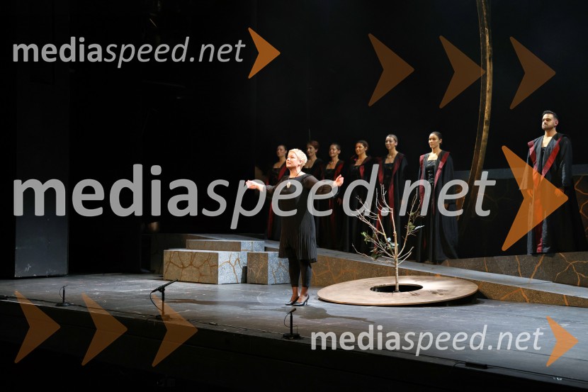 Opera Blühen (Razcvet), premiera