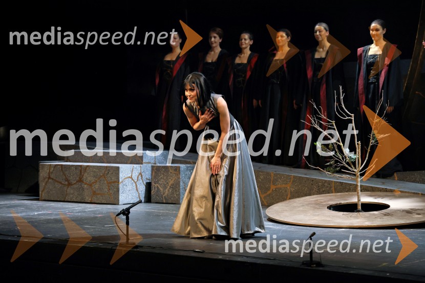 Opera Blühen (Razcvet), premiera