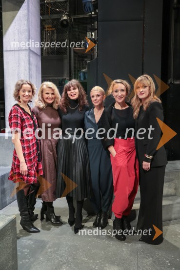  Ajda Smrekar, igralka;  Tanja Dimitrievska, igralka;  Veronika Železnik, igralka;  Tjaša  Železnik, igralka;  Mojca Funkl, igralka;  ... Fantazijska satira Zmaj, premiera MGL