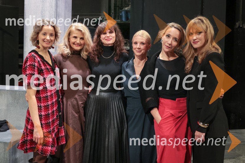  Ajda Smrekar, igralka;  Tanja Dimitrievska, igralka;  Veronika Železnik, igralka;  Tjaša  Železnik, igralka;  Mojca Funkl, igralka;  Julita Kropec, igralkaFantazijska satira Zmaj, premiera MGL