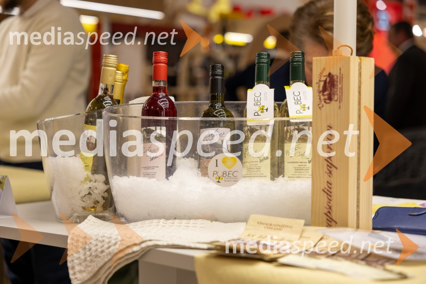 Pubec 2025 v Citycentru Celje