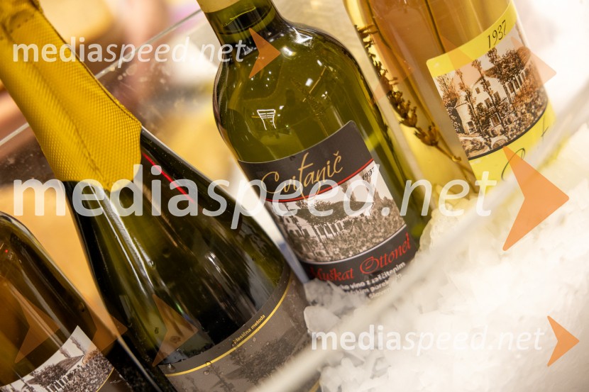 Pubec 2025 v Citycentru Celje