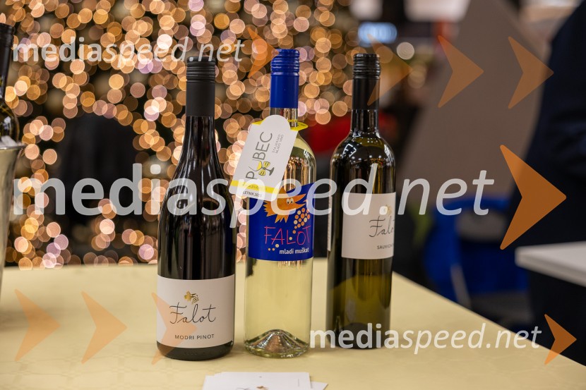 Pubec 2025 v Citycentru Celje