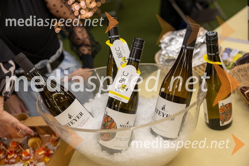 Pubec 2025 v Citycentru Celje