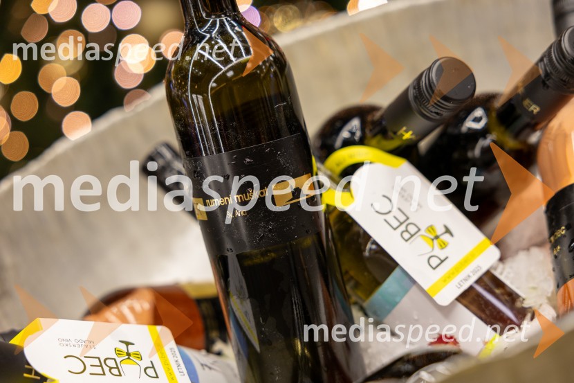 Pubec 2025 v Citycentru Celje