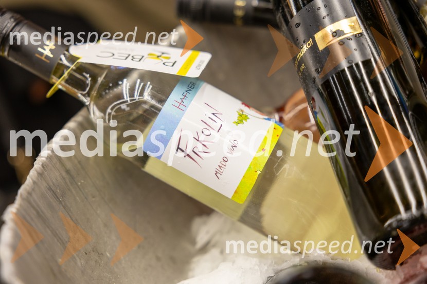 Pubec 2025 v Citycentru Celje