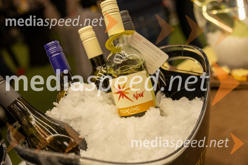 Pubec 2025 v Citycentru Celje