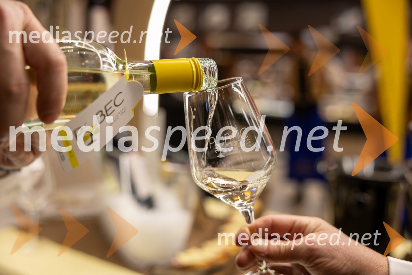 Pubec 2025 v Citycentru Celje