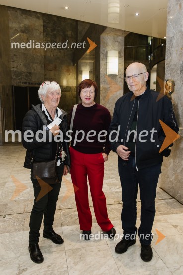 1982, krstna uprizoritev v SNG Nova Gorica