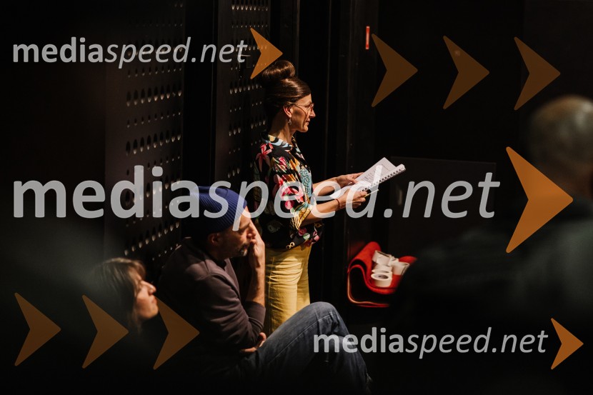 1982, krstna uprizoritev v SNG Nova Gorica