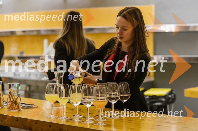 1982, krstna uprizoritev v SNG Nova Gorica