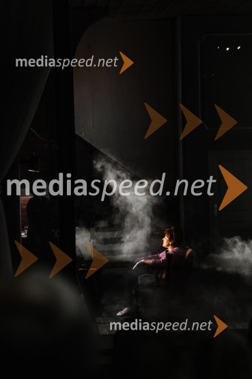 1982, krstna uprizoritev v SNG Nova Gorica