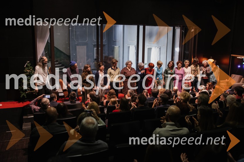 1982, krstna uprizoritev v SNG Nova Gorica