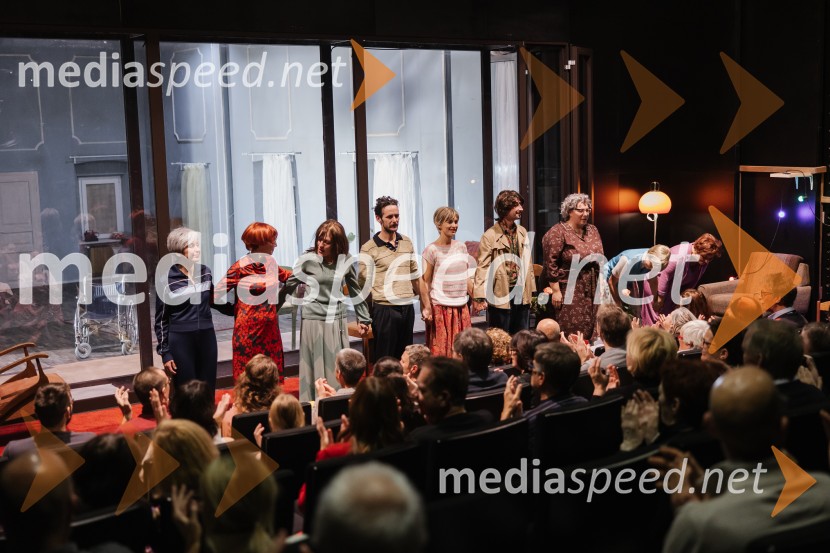 1982, krstna uprizoritev v SNG Nova Gorica