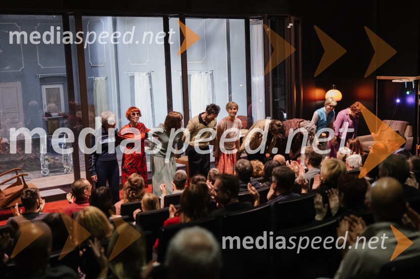 1982, krstna uprizoritev v SNG Nova Gorica