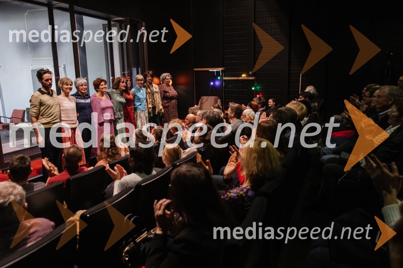 1982, krstna uprizoritev v SNG Nova Gorica