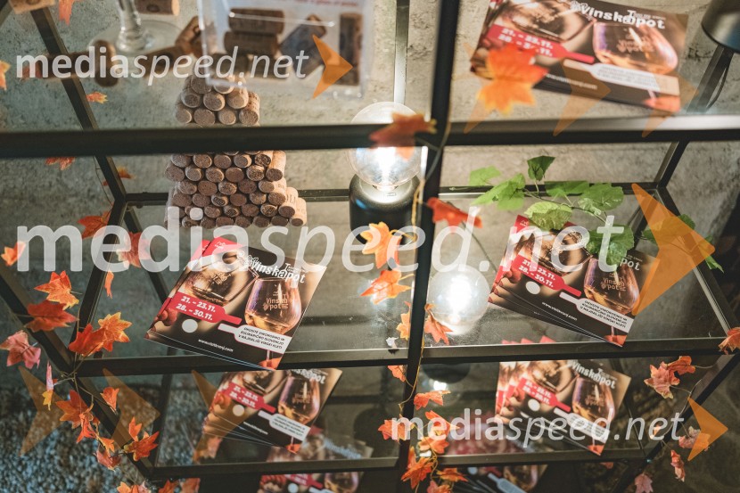 Vinska pot v rovih pod starim Kranjem, drugi petek