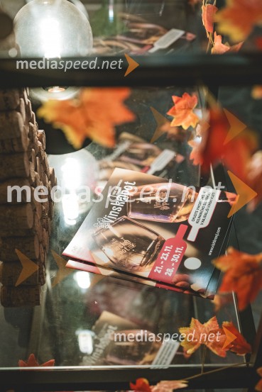 Vinska pot v rovih pod starim Kranjem, drugi petek