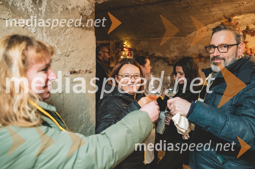 Vinska pot v rovih pod starim Kranjem, drugi petek