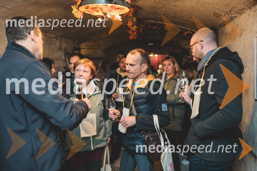 Vinska pot v rovih pod starim Kranjem, drugi petek