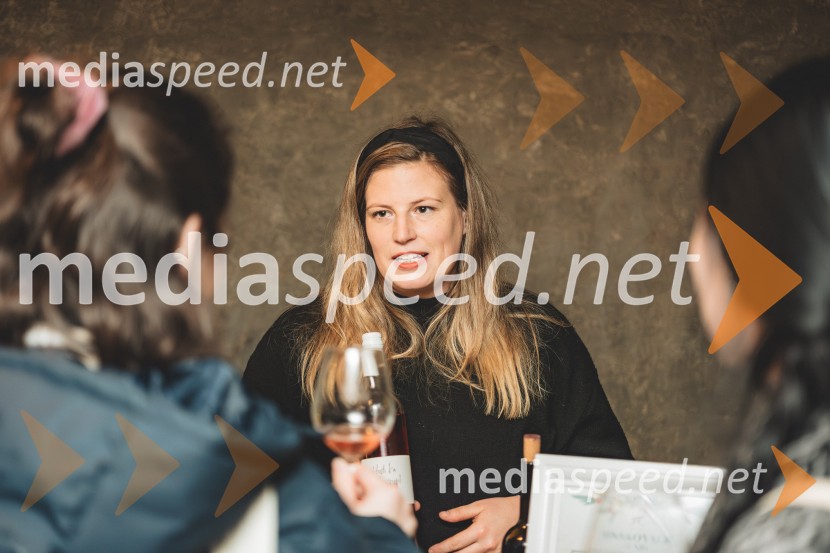 Vinska pot v rovih pod starim Kranjem, drugi petek