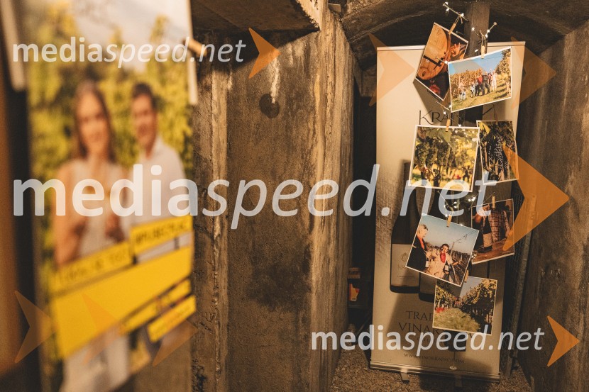 Vinska pot v rovih pod starim Kranjem, drugi petek