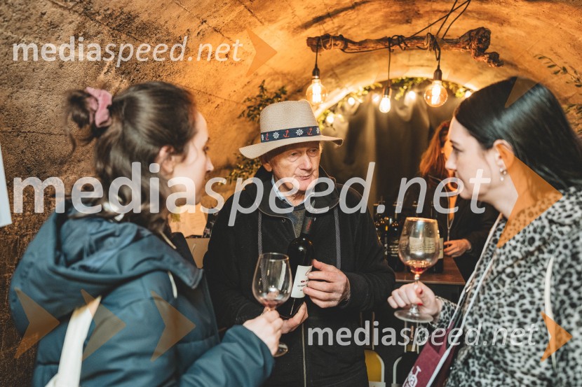 Vinska pot v rovih pod starim Kranjem, drugi petek