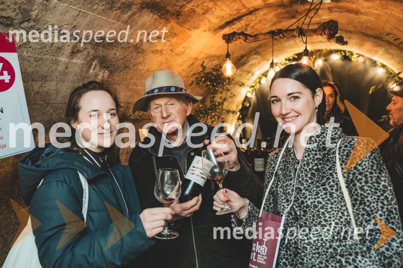 Vinska pot v rovih pod starim Kranjem, drugi petek