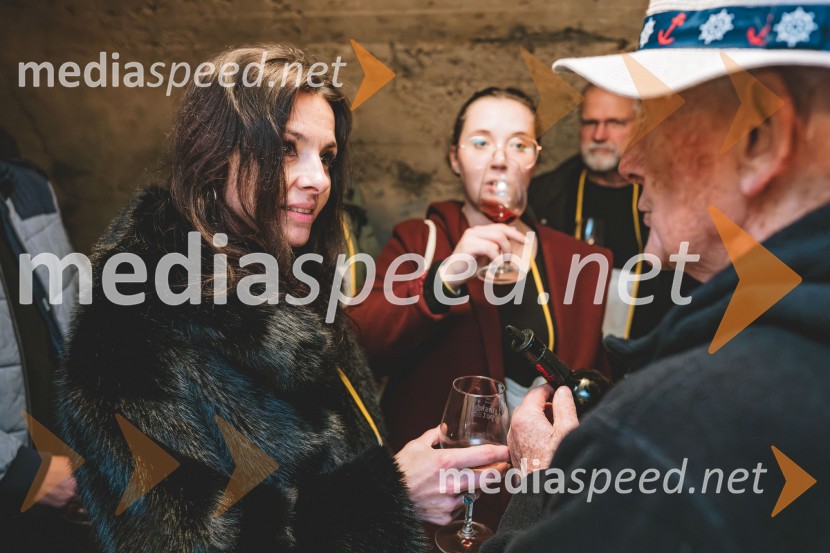 Vinska pot v rovih pod starim Kranjem, drugi petek