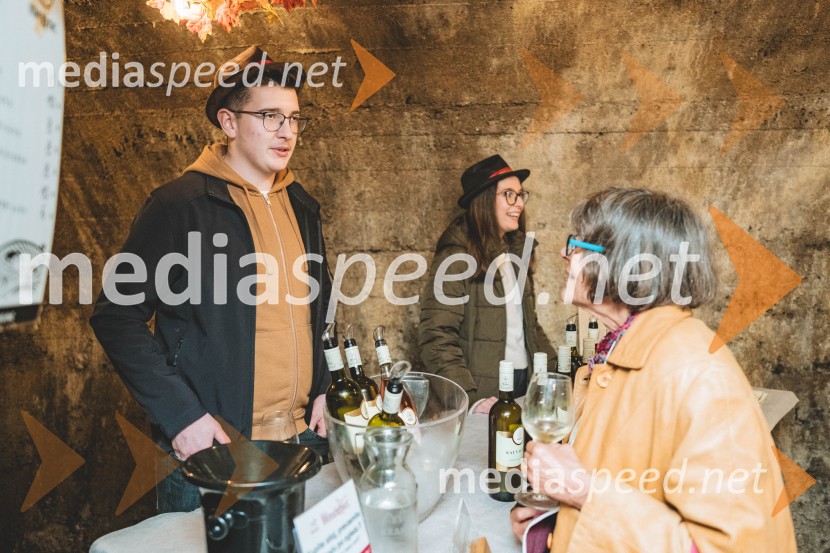 Vinska pot v rovih pod starim Kranjem, drugi petek