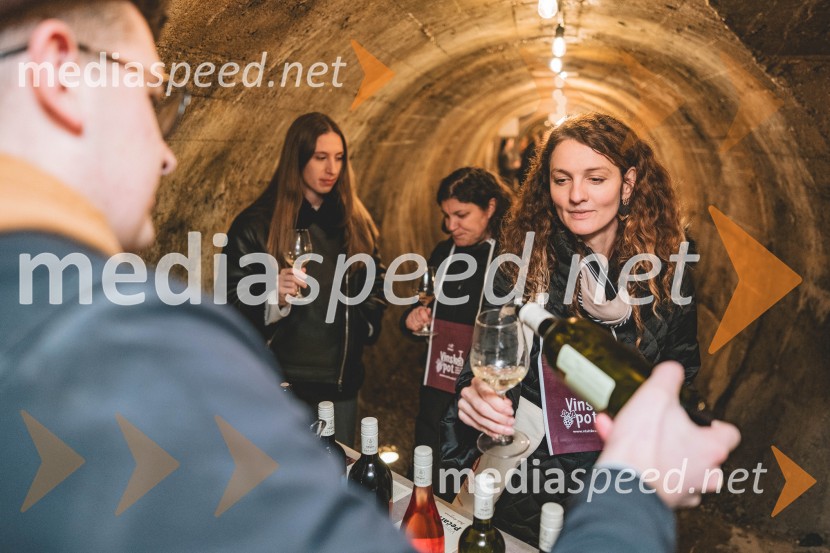 Vinska pot v rovih pod starim Kranjem, drugi petek