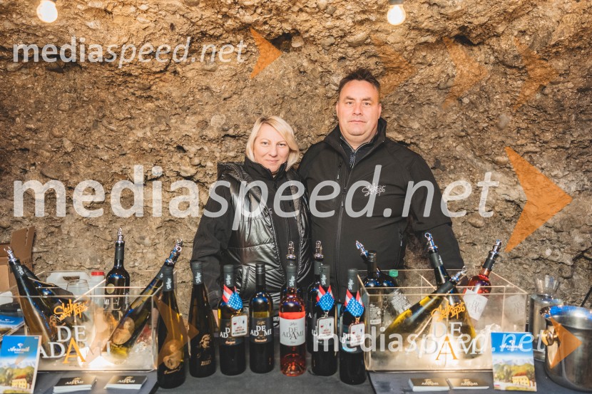 Vinska pot v rovih pod starim Kranjem, drugi petek