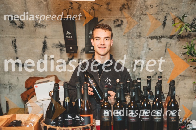 Vinska pot v rovih pod starim Kranjem, drugi petek