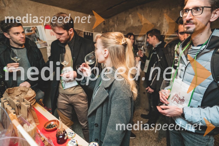 Vinska pot v rovih pod starim Kranjem, drugi petek