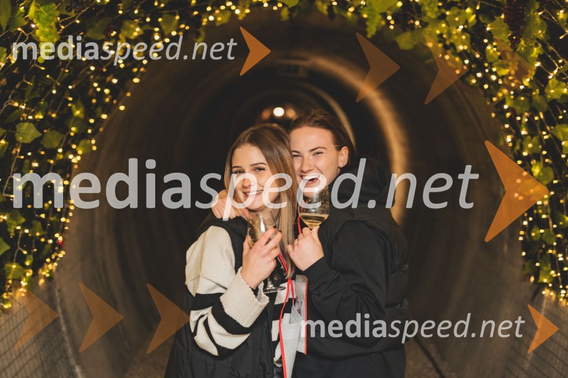 Vinska pot v rovih pod starim Kranjem, drugi petek