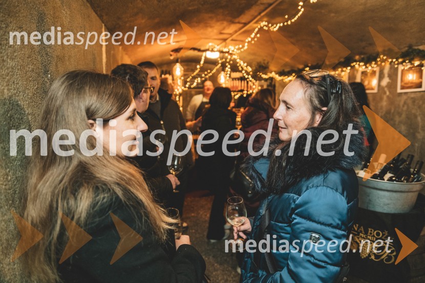 Vinska pot v rovih pod starim Kranjem, drugi petek