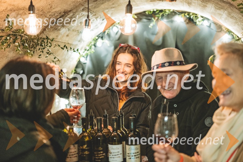 Vinska pot v rovih pod starim Kranjem, drugi petek