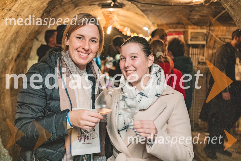 Vinska pot v rovih pod starim Kranjem, drugi petek