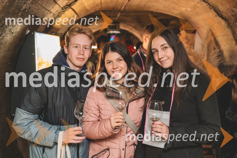 Vinska pot v rovih pod starim Kranjem, drugi petek