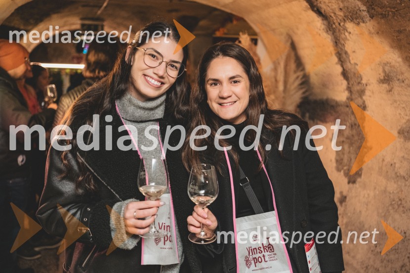 Vinska pot v rovih pod starim Kranjem, drugi petek