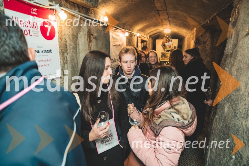 Vinska pot v rovih pod starim Kranjem, drugi petek