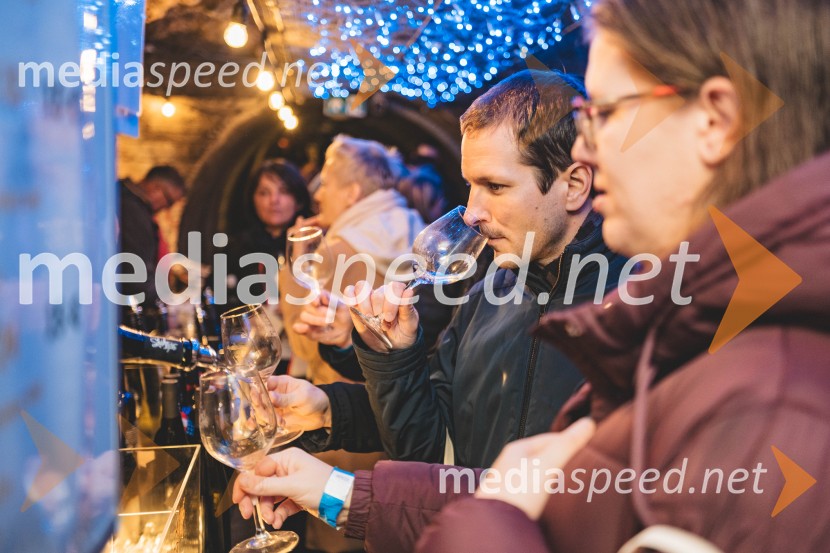 Vinska pot v rovih pod starim Kranjem, drugi petek