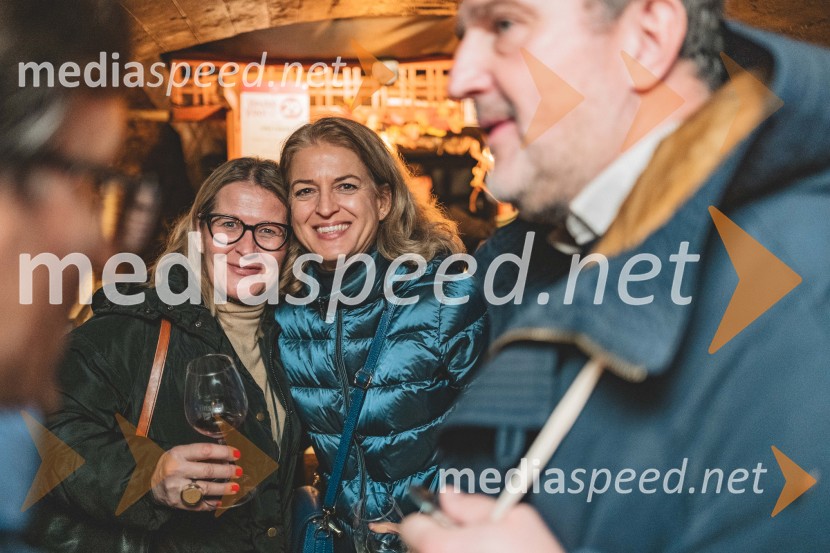 Vinska pot v rovih pod starim Kranjem, drugi petek