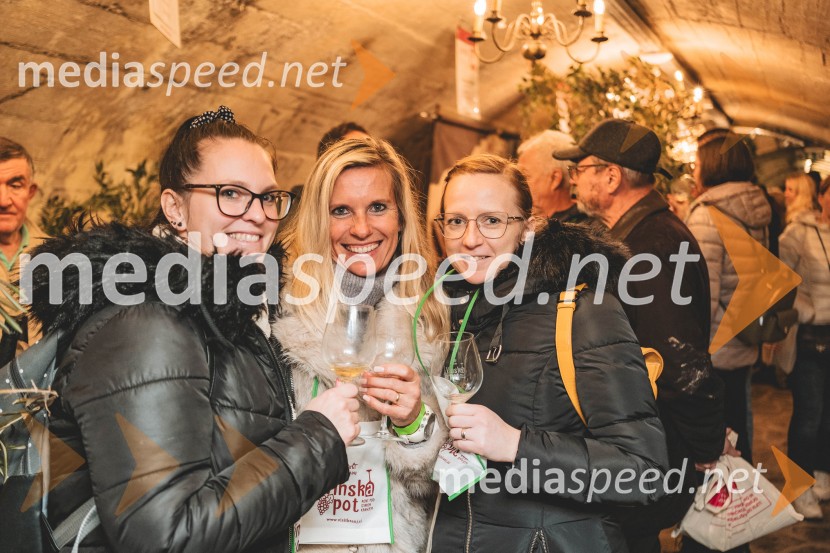 Vinska pot v rovih pod starim Kranjem, drugi petek