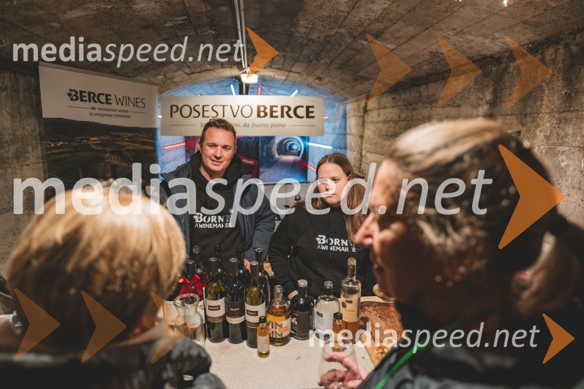 Vinska pot v rovih pod starim Kranjem, drugi petek