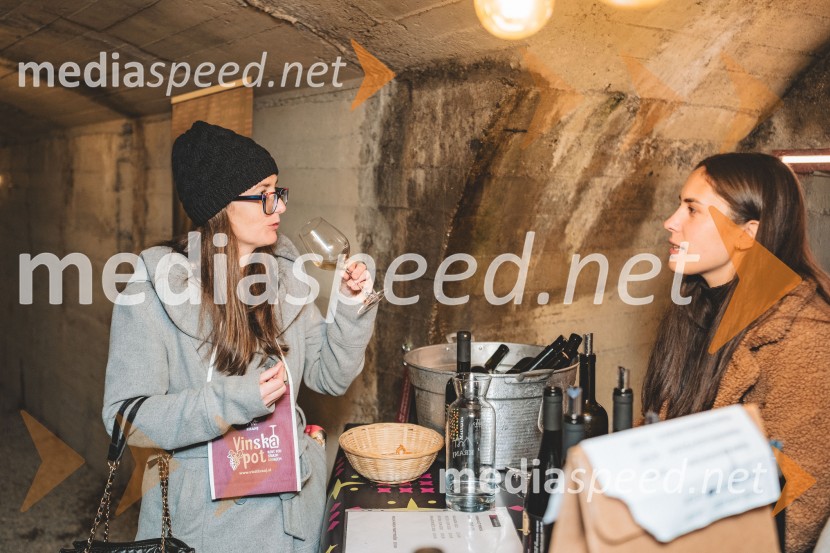 Vinska pot v rovih pod starim Kranjem, drugi petek