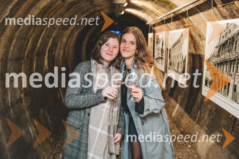 Vinska pot v rovih pod starim Kranjem, drugi petek