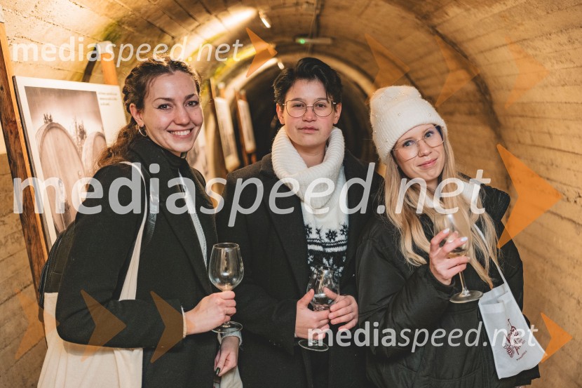 Vinska pot v rovih pod starim Kranjem, drugi petek